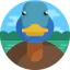 Duck icon 64x64