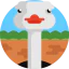 Ostrich icon 64x64