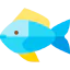 Fish icône 64x64