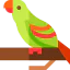 Parrot icon 64x64