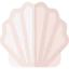 Shell icône 64x64