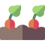 Carrot icon 64x64