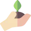 Sprout icon 64x64