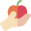 Apple icon 64x64
