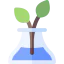 Plant icon 64x64