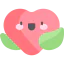 Heart ícone 64x64