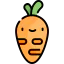 Carrot icon 64x64
