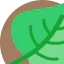 Leaf icon 64x64