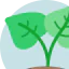 Plant icon 64x64