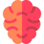 Brain icon 64x64