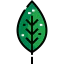 Leaf icon 64x64