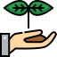 Sprout icon 64x64