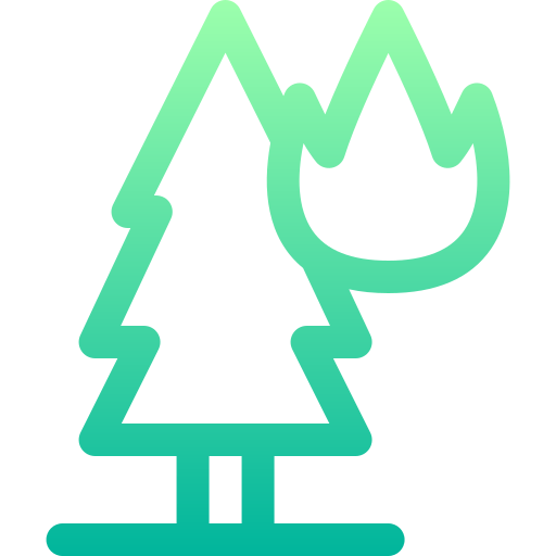 Forest fire icon