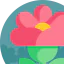 Flower icon 64x64