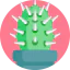 Cactus icon 64x64