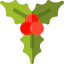 Mistletoe icon 64x64