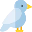Arctic tern アイコン 64x64