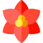 Poinsettia icon 64x64