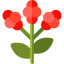 Berries アイコン 64x64