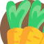 Carrot icon 64x64
