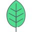Leaf アイコン 64x64