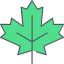 Maple leaf アイコン 64x64