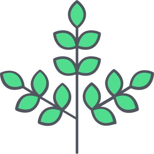 Branch icon