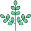 Branch アイコン 64x64