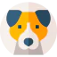 Laika icon 64x64