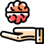 Brain icon 64x64
