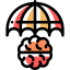Brain icon 64x64