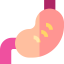 Stomach icon 64x64