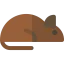Rat icon 64x64