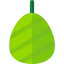 Cocoon icon 64x64
