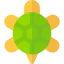 Turtle icon 64x64