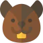 Squirrel icon 64x64