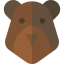 Bear icon 64x64