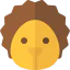 Hedgehog icon 64x64