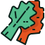 Kimchi icon 64x64