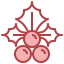 Mistletoe icon 64x64