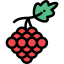 Grapes 图标 64x64
