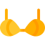 Bra icon 64x64