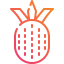 Pineapple icon 64x64