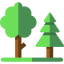 Forest 图标 64x64