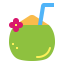 Coconut 图标 64x64
