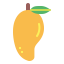 Mango icon 64x64