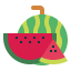 Watermelon icon 64x64