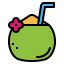 Coconut 图标 64x64