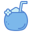 Coconut icon 64x64