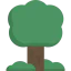 Forest icon 64x64